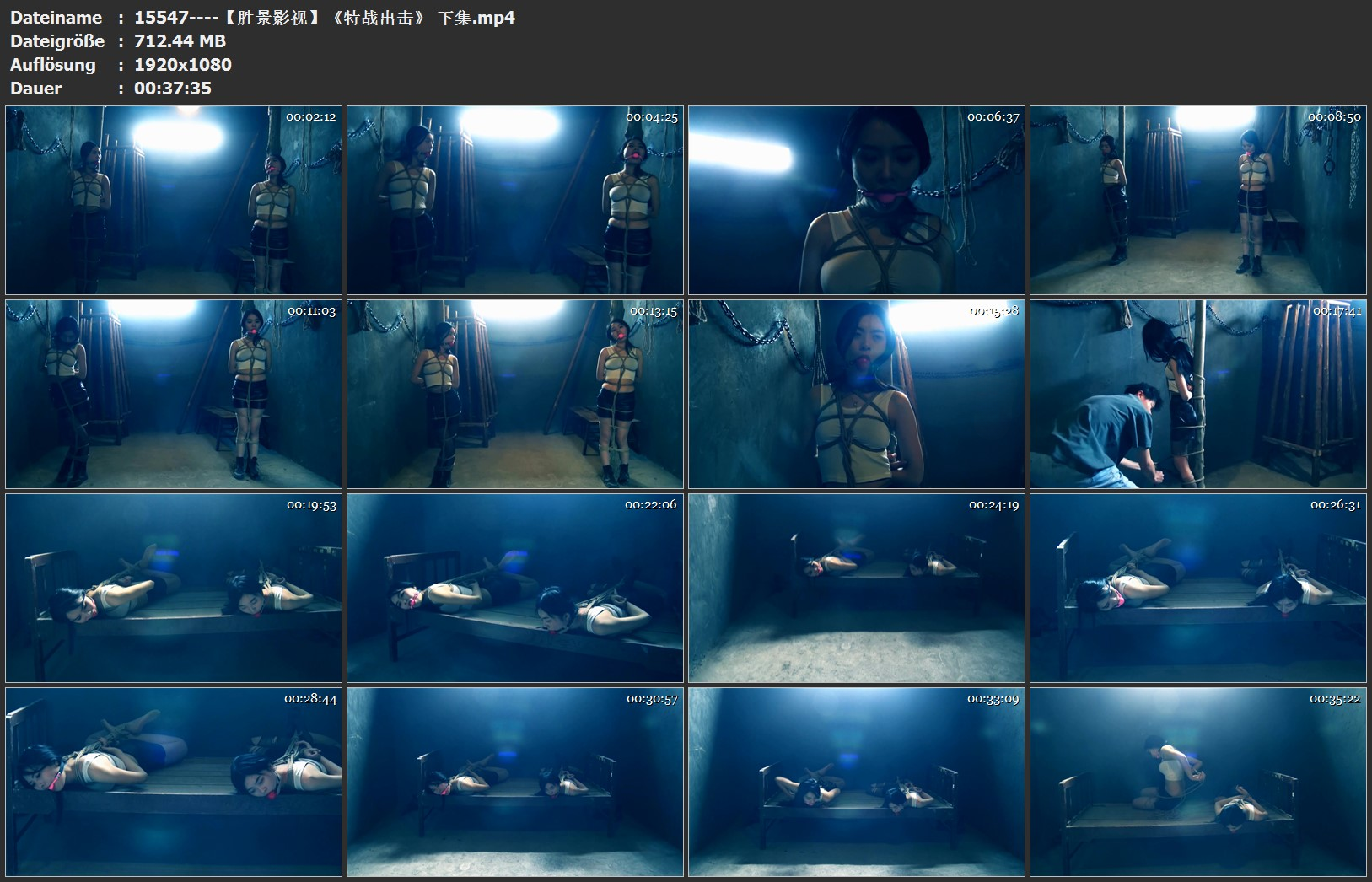 图片[3]-【胜景影视】《特战出击》 下集 - 视频-5元站-视频-5元站