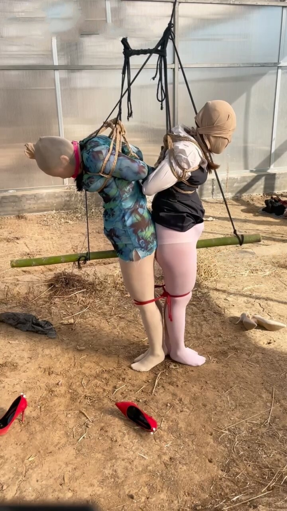 图片[2]-【媚娘工作室】双S调教双M第二部-视频-5元站
