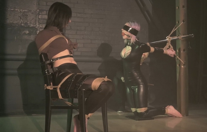 rfmv Astrids Fury Part 2-视频-5元站