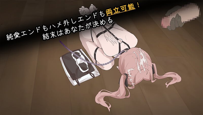 图片[4]-与离家出走少女的同居生活 家出少女との同棲生活 V1.0 [PC][中文]-游戏-5元站