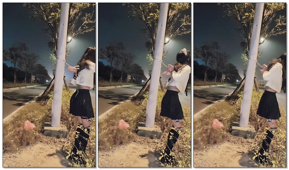 【一只松鼠】男娘路灯下项圈牵引露出放置+郊狼电击-视频-5元站