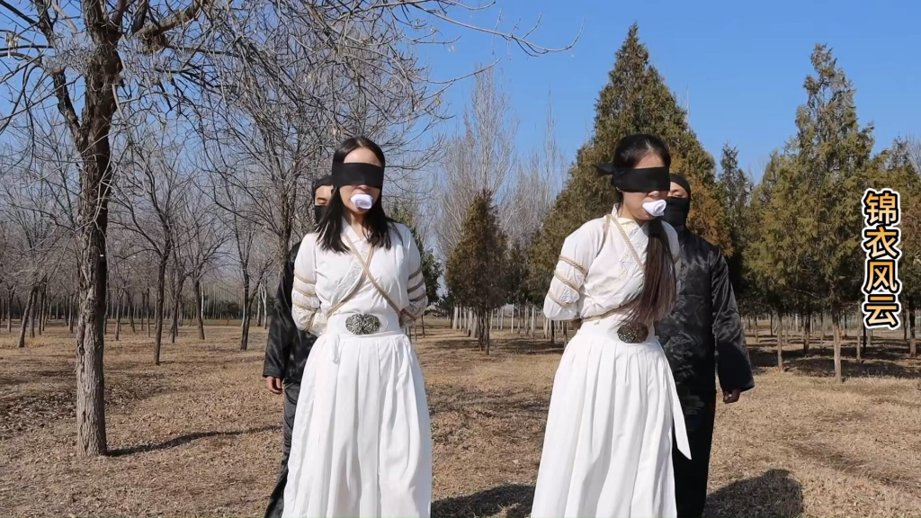图片[2]-【怀旧影视】古装巨制 《锦衣风云》第四集 完结篇-视频-5元站
