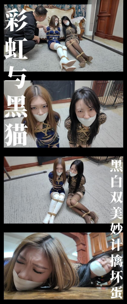 【枫叶工作室】《彩虹与黑猫·黑猫小分队·黑白双美妙计擒坏蛋》-视频-5元站