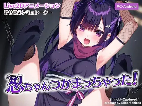 小忍被抓住啦！忍ちゃんつかまっちゃった！[PC][安卓]-游戏-5元站