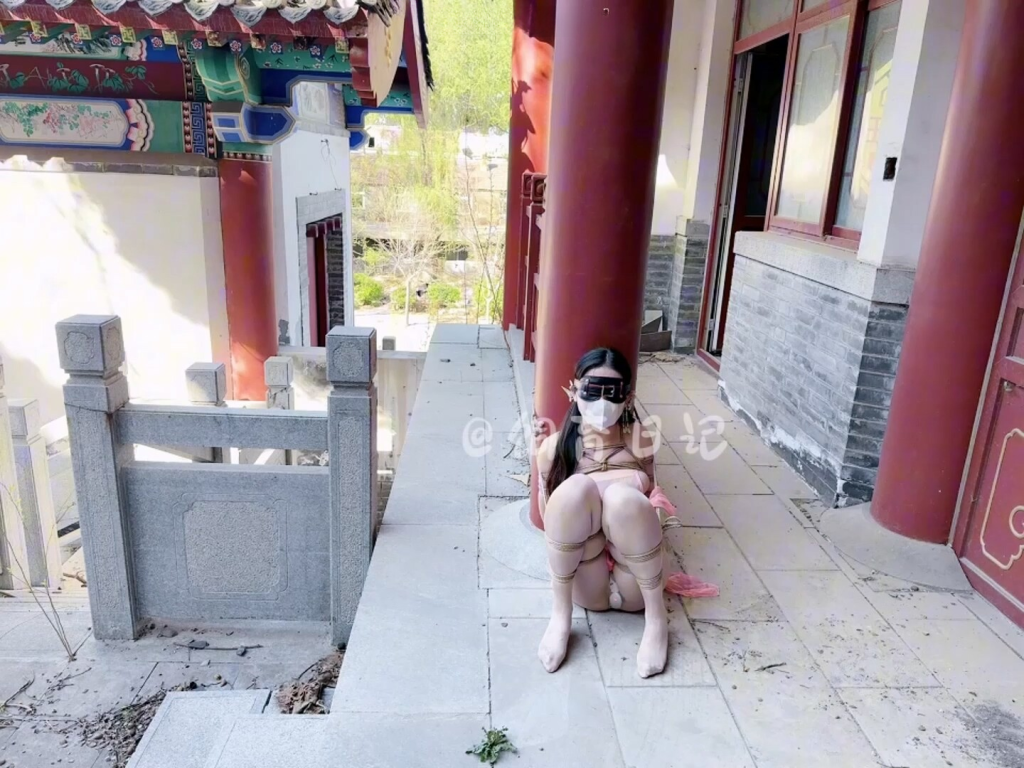 图片[2]-【饲育日记】「小狗」闹市古巷，车水马龙的大殿之旁，一只小狗正在被折磨-视频-5元站