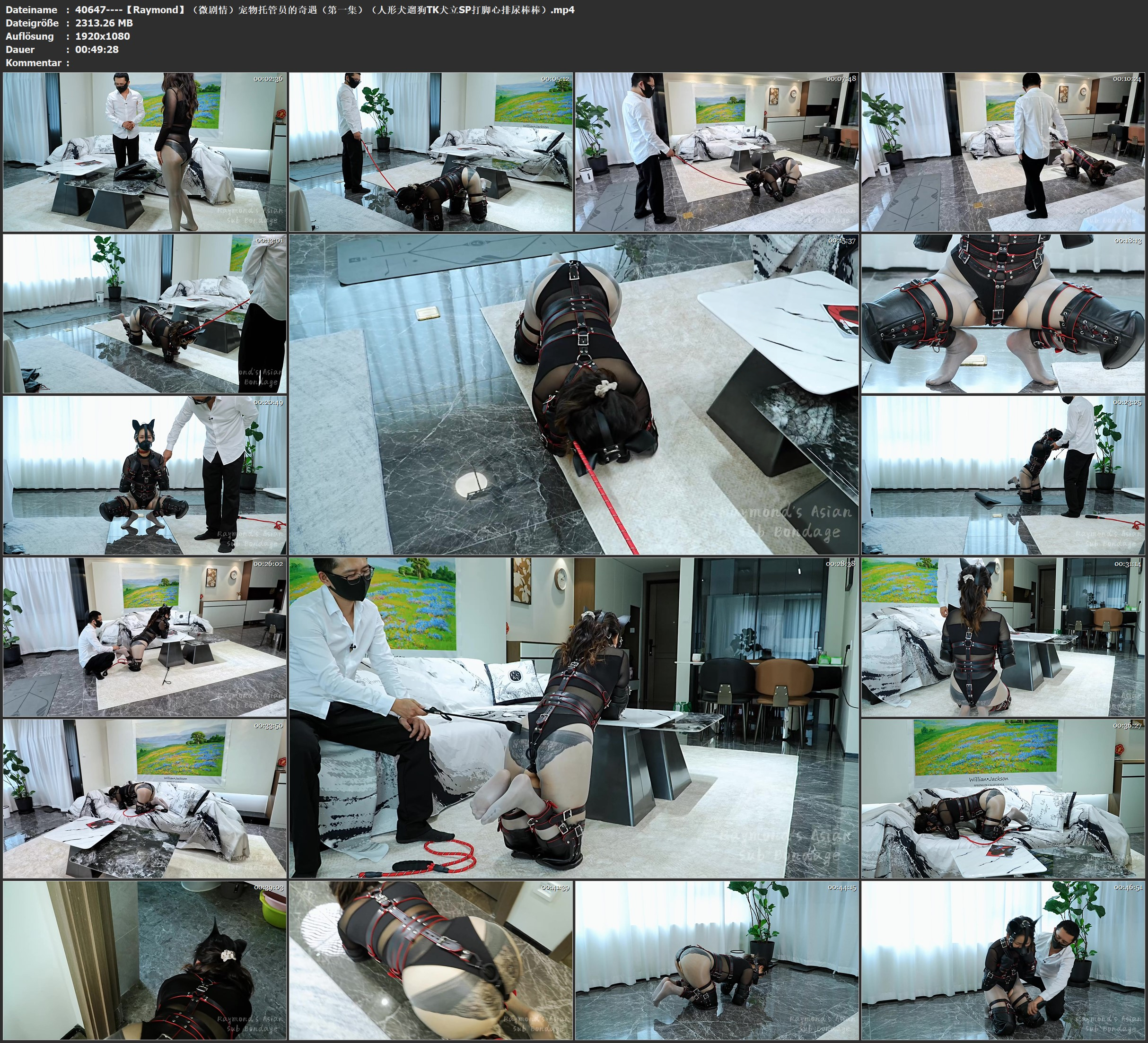 图片[2]-【Raymond】（微剧情）宠物托管员的奇遇（第一集）（人形犬/遛狗/TK/犬立/SP/打脚心/排尿/棒棒） - 视频-5元站-视频-5元站