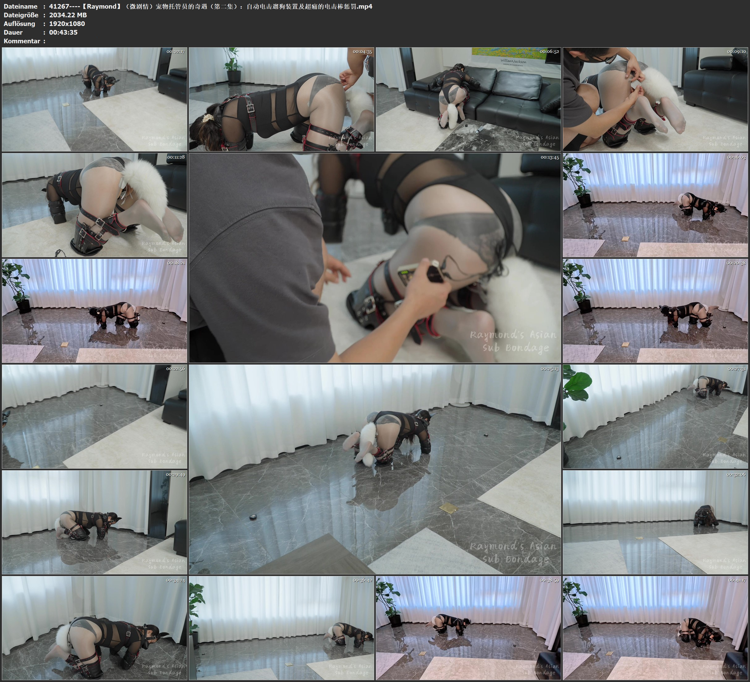 图片[3]-【Raymond】（微剧情）宠物托管员的奇遇（第二集）：自动电击遛狗装置及超痛的电击棒惩罚 - 视频-5元站-视频-5元站
