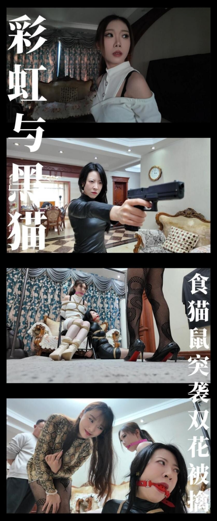 【枫叶工作室】《彩虹与黑猫·黑猫小分队·食猫鼠突袭双花被擒》-视频-5元站