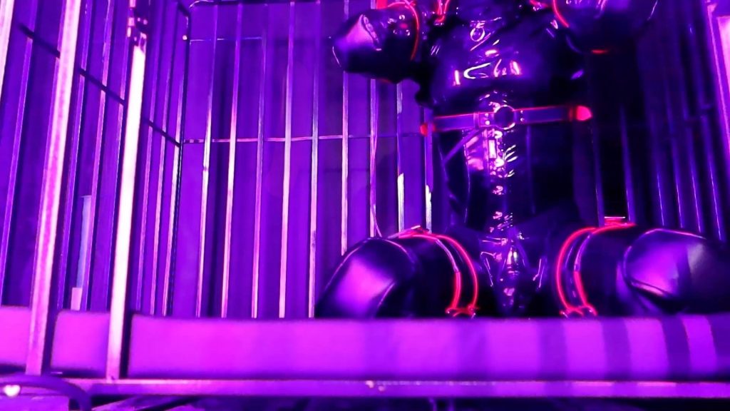 图片[2]-【面具男】《强制雌坠训练基地》自动化胶衣皮具强制拘束慕狗伪娘雌坠计划2，自动伸缩真空榨汁雌坠挤压机器，通过无尽地循环榨汁刺激，不停地给慕狗洗脑，崔情，胶衣皮具强制拘束狗..-视频-5元站