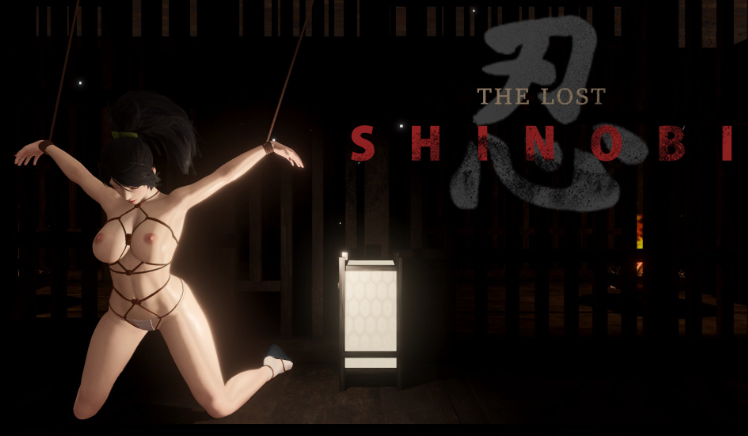 [ACT/PC/ai汉化] 迷失的忍者 The Lost Shinobi Ver0.1.35-游戏-5元站