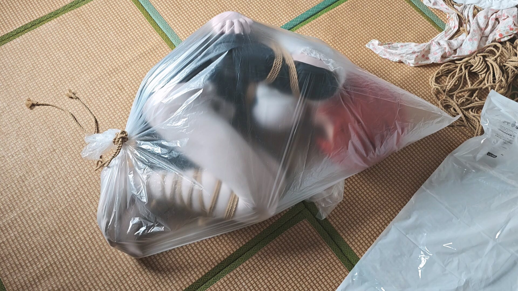 【无夜】打包袋+强制跪坐+郊狼电击-呼吸控制-视频-5元站