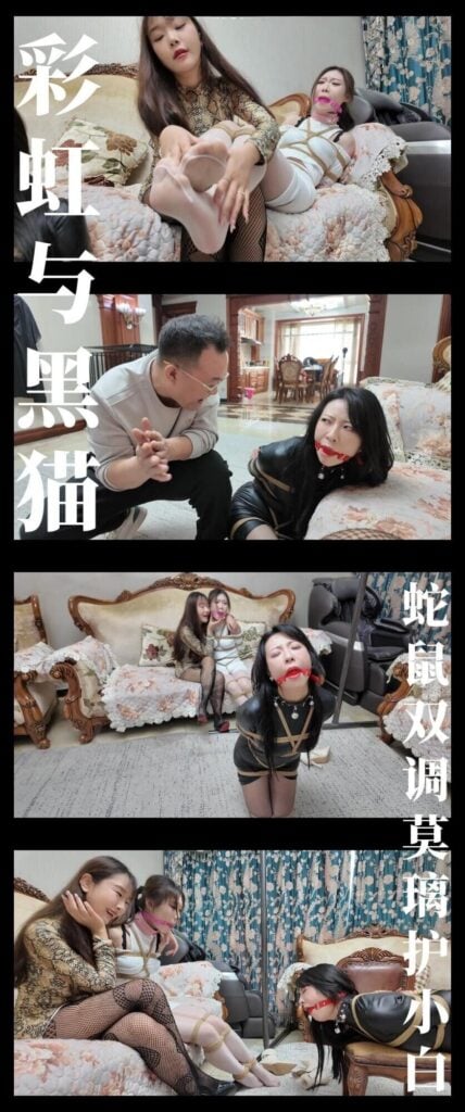 【枫叶工作室】《彩虹与黑猫·黑猫小分队·蛇鼠双调莫璃护小白》-视频-5元站