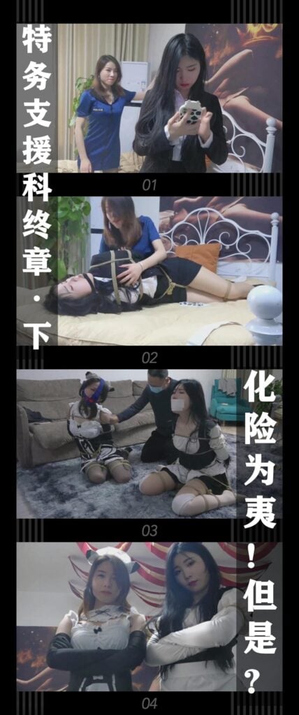 【逍遥】《特务支援科终章·下 化险为夷！但是？》-视频-5元站
