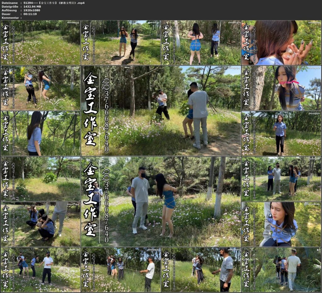 图片[3]-【金宝工作室】《解救女明星》-视频-5元站