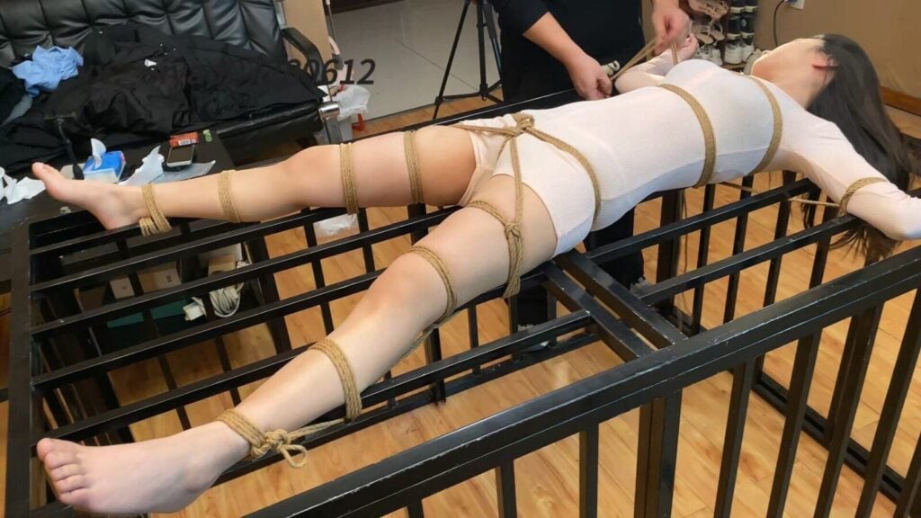 【山鬼工作室】动动之任人宰割的羔羊-视频-5元站