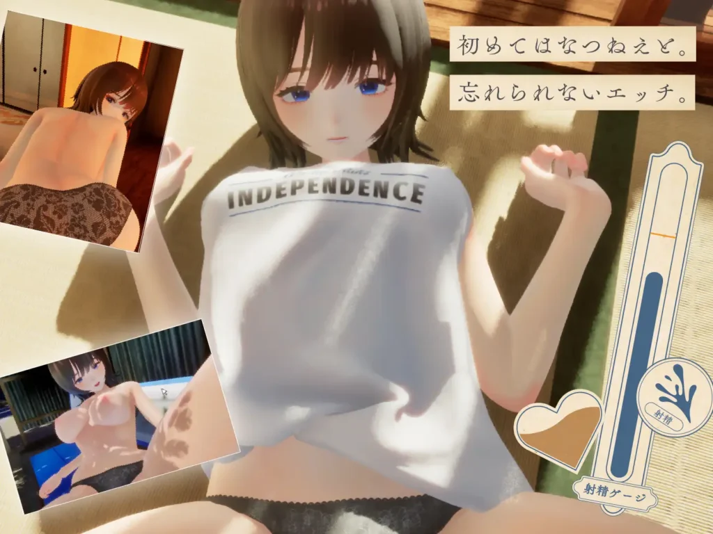 图片[3]-[3D/PC/ai汉化/去码补丁] 夏姐 ～我恋爱的30天～なつねえ ～僕が恋した30日～V1.1-游戏-5元站