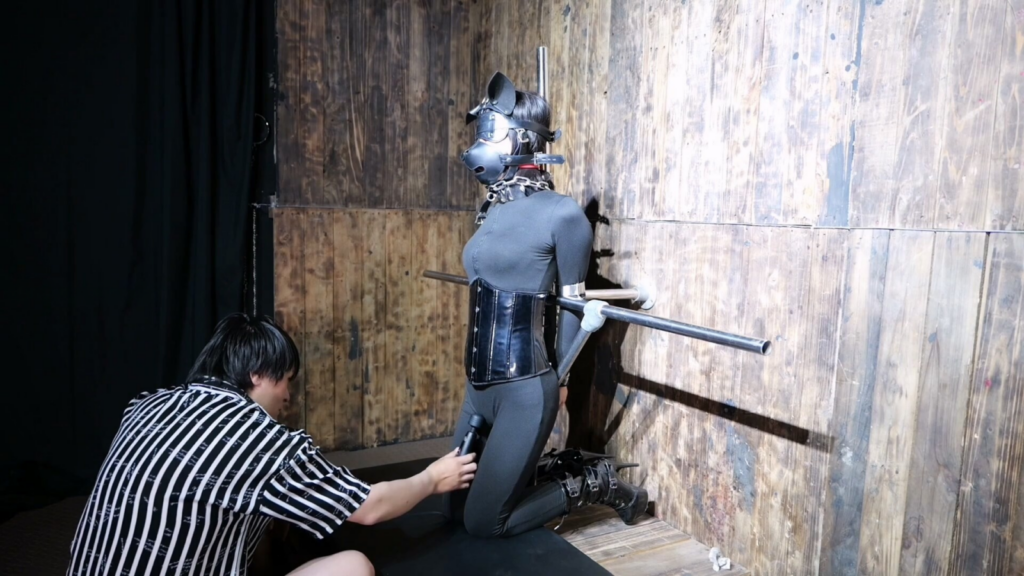 图片[2]-【惠宝工作室】酒后遭遇-视频-5元站