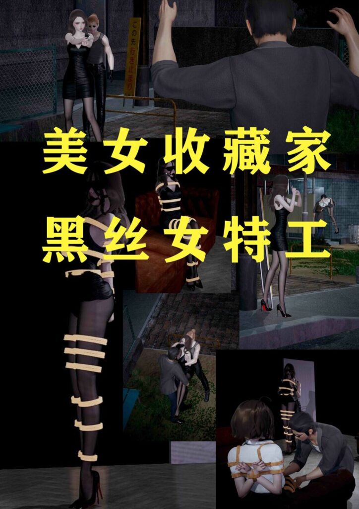 美女收藏家 黑丝女特工-5元站