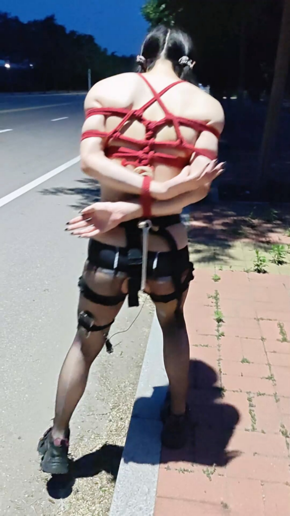【一颗露露子】户外捆绑篇15 全裸捆绑穿戴飞机杯马路中央榨精 郊狼肛钩折磨刺激 户外极限驷马逛街从晚上到天亮-视频-5元站