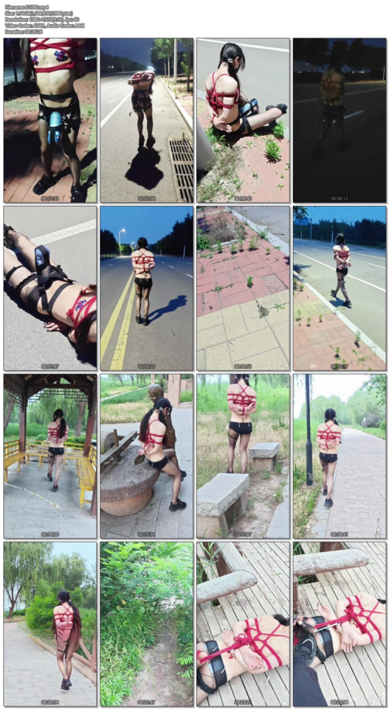 图片[3]-【一颗露露子】户外捆绑篇15 全裸捆绑穿戴飞机杯马路中央榨精 郊狼肛钩折磨刺激 户外极限驷马逛街从晚上到天亮-视频-5元站