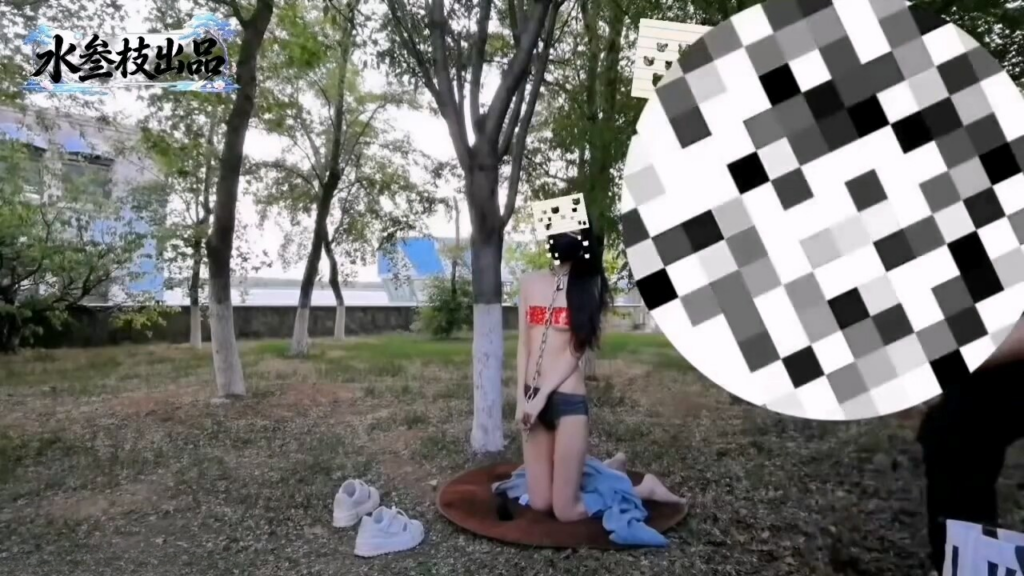 图片[2]-【水叁枝出品】丛林搜救quan！？上-视频-5元站