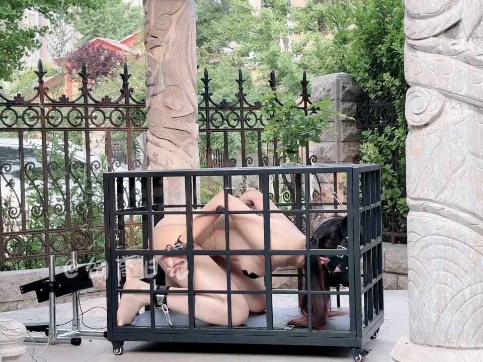 【饲育日记】最强露出，把笼子搬到户外放置，从害怕到紧张到迷醉-视频-5元站