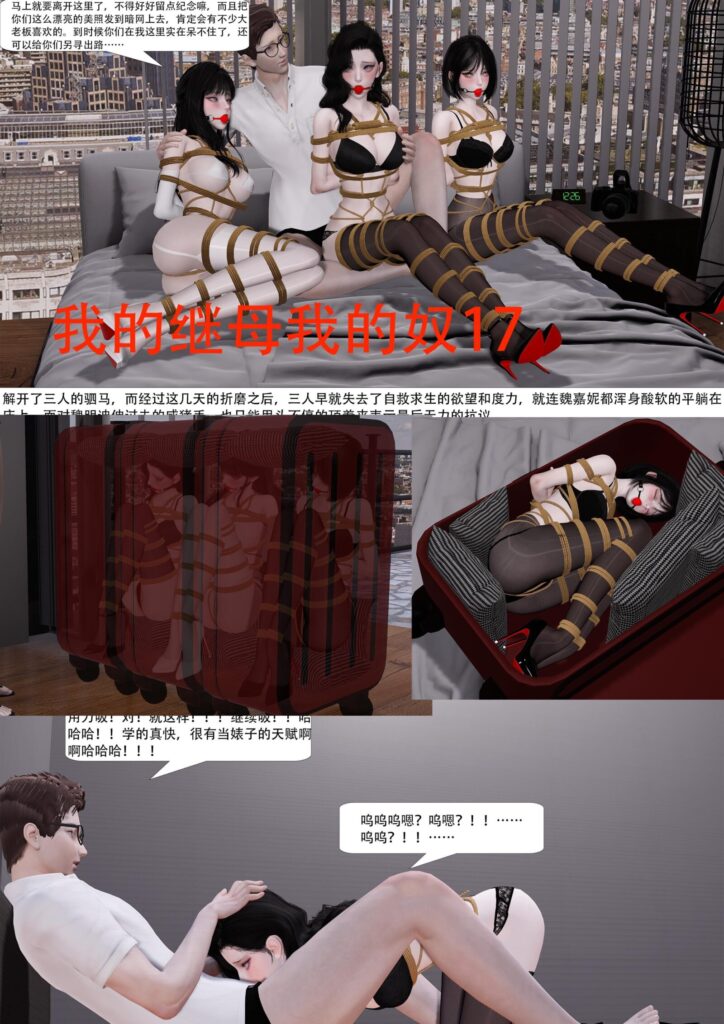 我的继母我的奴17-18-5元站