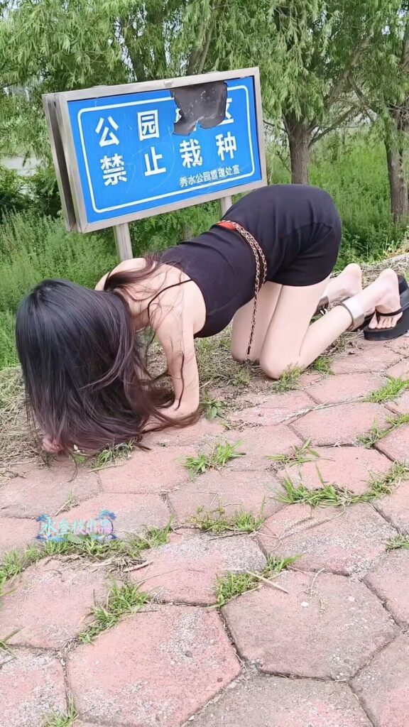 图片[2]-【水叁枝出品】乡间小路上的小水镣铐押运 游行 被路人注视 完全社死-视频-5元站