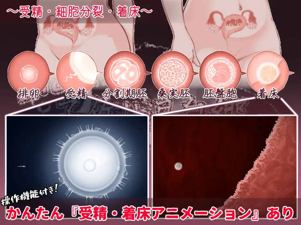 图片[4]-[RPG/PC/ai汉化] 欢迎来到！孕育温泉乡 おいでませ！子作り温泉郷 v1.01-游戏-5元站