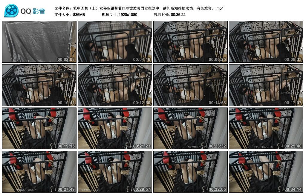 图片[3]-【集梦】笼中囚禁（上）-视频-5元站