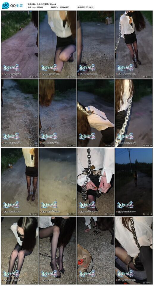 图片[3]-【水叁枝出品】公路边的镣铐之旅-视频-5元站