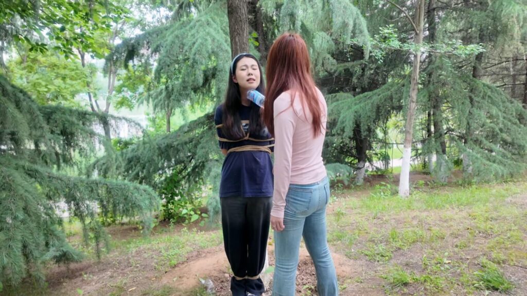 【龙飞绳艺】我放走了小三-视频-5元站
