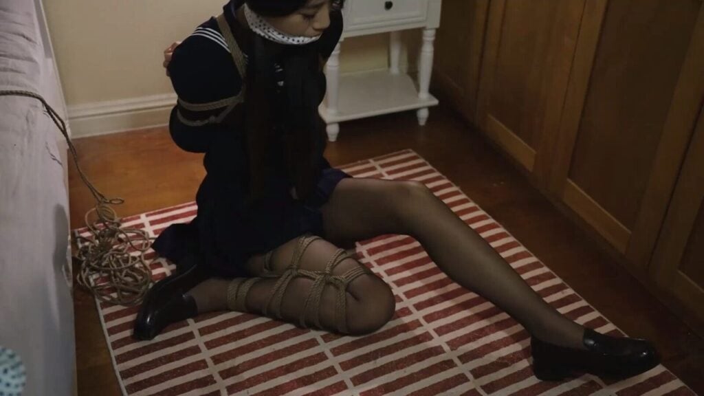 -视频-5元站