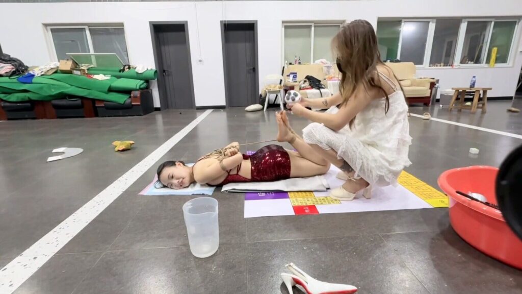 【媚娘工作室】飞行棋游戏之听天由命-视频-5元站
