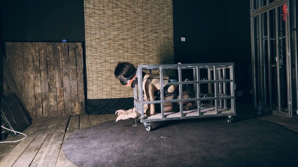 【惠宝工作室】惠梓琪狗笼虐待-视频-5元站