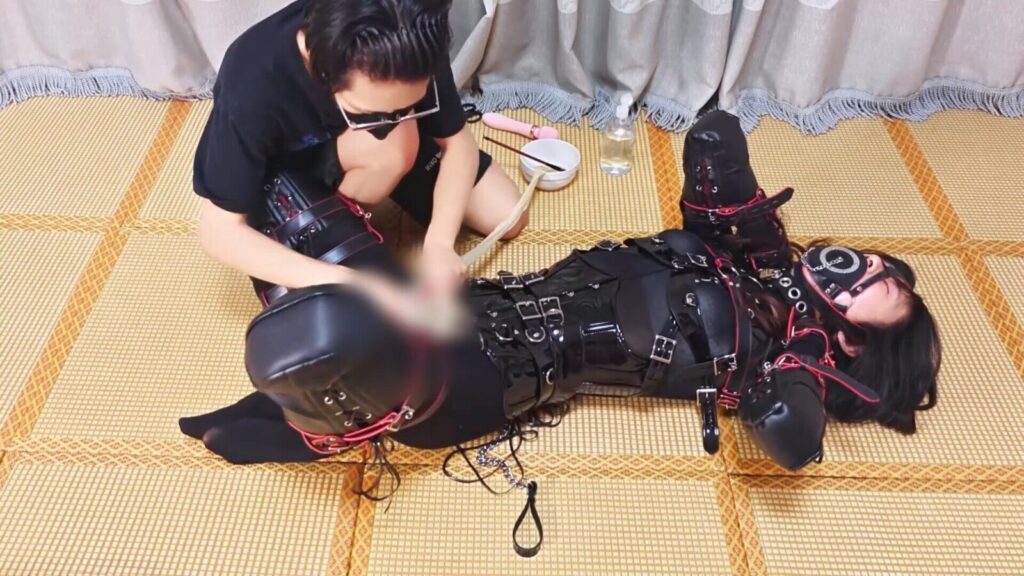 【一颗露露子】K9连体丝母狗露露の服从性测试 暴力龟责榨汁关笼！ 穿戴飞机杯爬行放置-视频-5元站