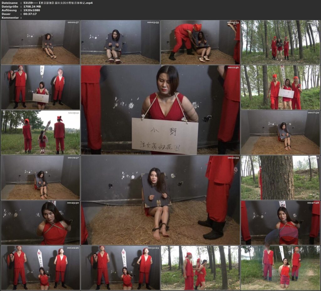 图片[3]-【胜景影视】荡妇女囚小野斩首体验记-视频-5元站