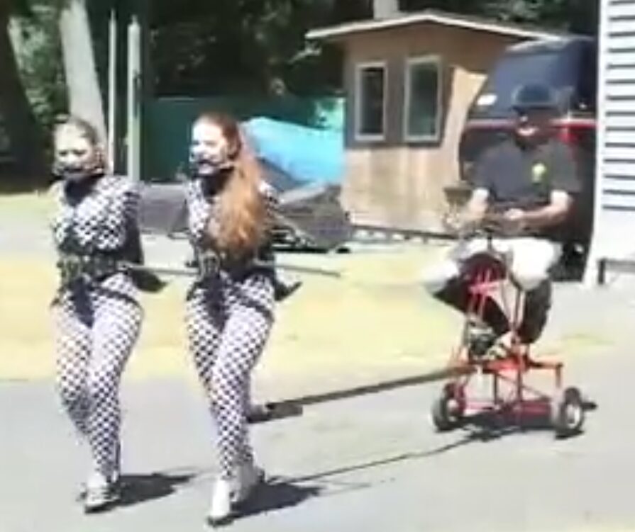pony pull-视频-5元站