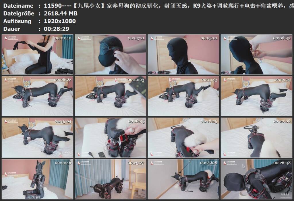 图片[3]-【九尾少女】家养母狗的彻底驯化，封闭五感，K9犬姿+调教爬行+电击+狗盆喂养，感官封闭+紧身衣的人形母犬，被玩具+电击双重刺激，身体和心理的调教！-视频-5元站