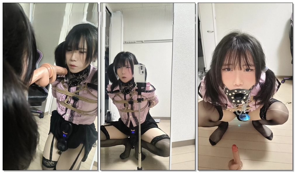 【持了个盾】双马尾男娘雌堕训练沦为淫荡母狗-视频-5元站