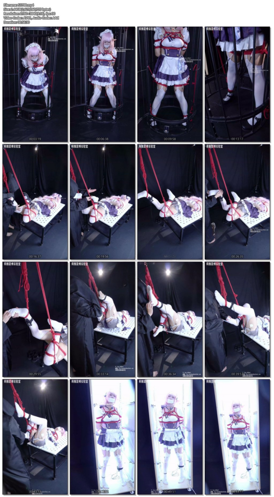 图片[3]-【莉雅】COSER绑架案-爱莉希雅女仆 cosplay/紧缚/封嘴/波波贝/失禁/蛋蛋/电击/虐足-视频-5元站