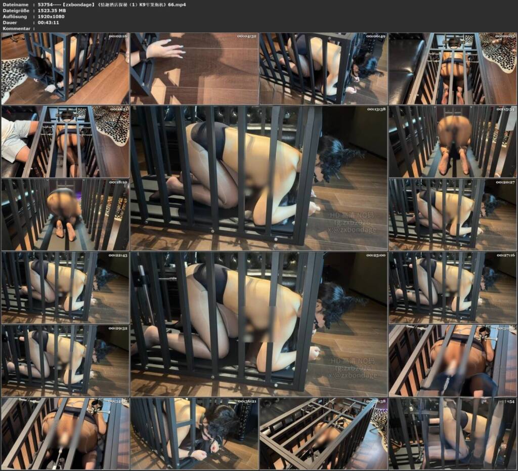 图片[3]-【zxbondage】《情趣酒店探秘（1）K9牢笼炮机》66-视频-5元站