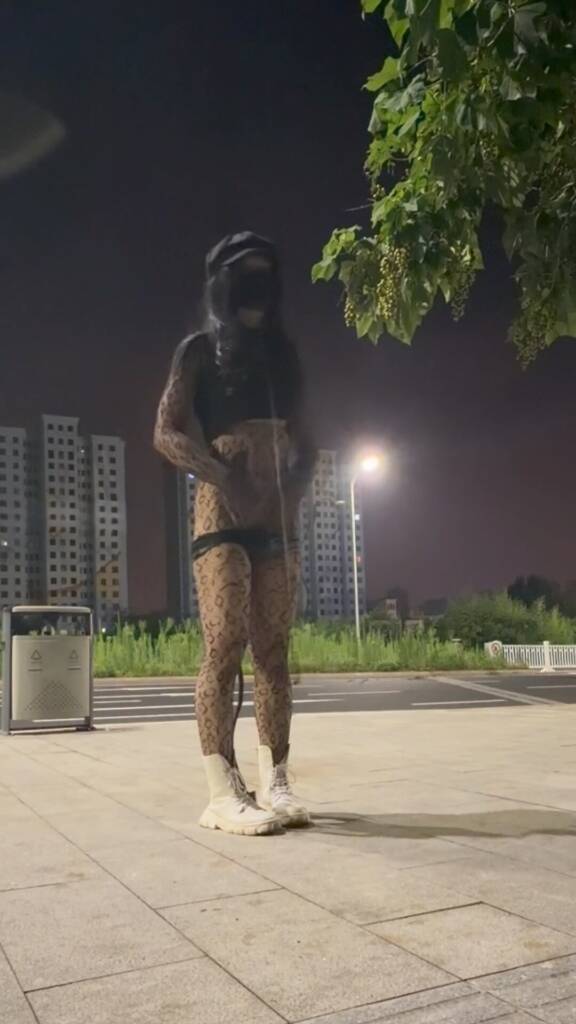 【hx0532】为了完成主人的露出任务，穿着连体黑丝插着超长尾巴的小母狗竟然被出租车司机调戏~等待她的会是什么呢？露出＋勾引+调戏+尾巴+项圈+肛塞-视频-5元站