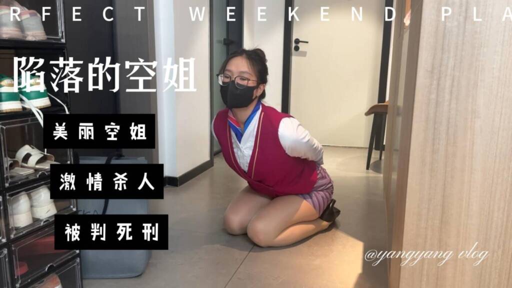 【zhangyang】陷落的空姐-视频-5元站