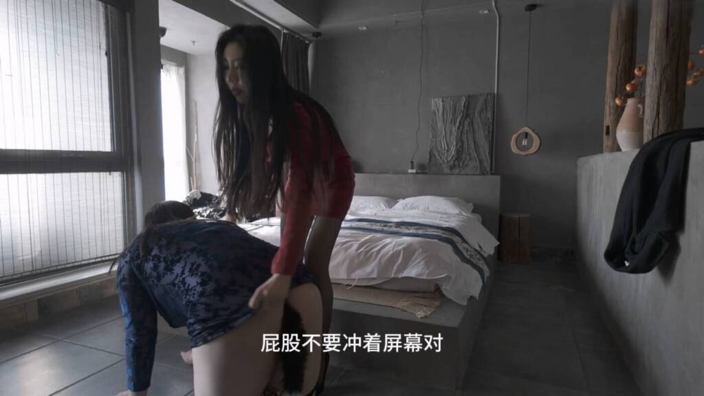 【官官S】对女装狗的的耳光电击强高SP-视频-5元站