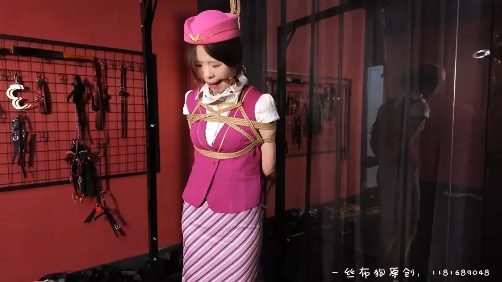 【一丝布狗】空姐训服记 （堵嘴＋tk）-视频-5元站