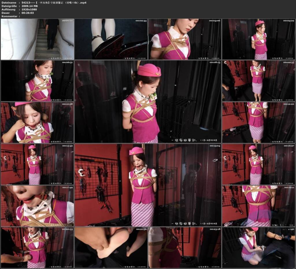 图片[3]-【一丝布狗】空姐训服记 （堵嘴＋tk）-视频-5元站