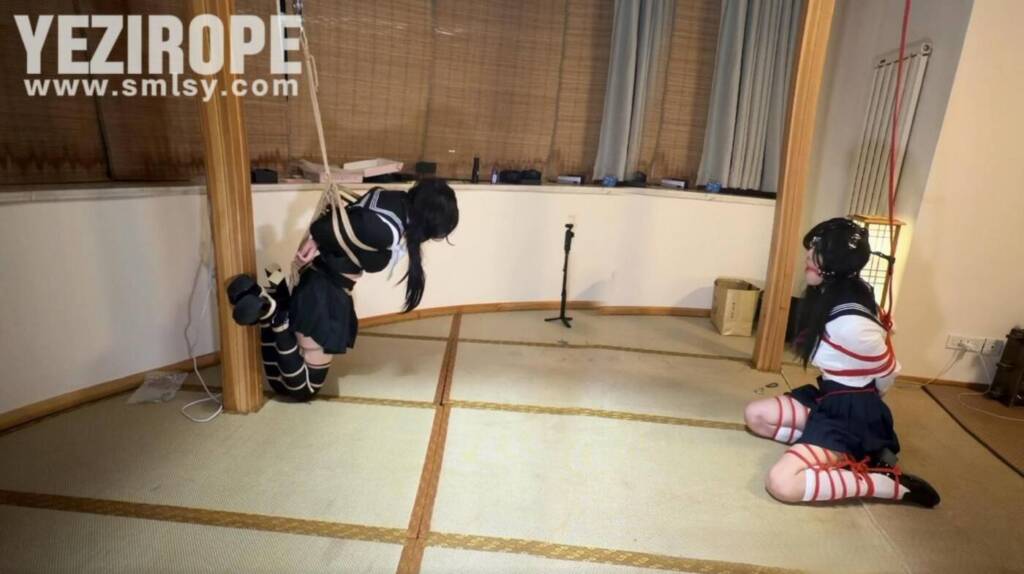 【野子绳社】超能双子二：姐妹相争终究自取灭亡-视频-5元站