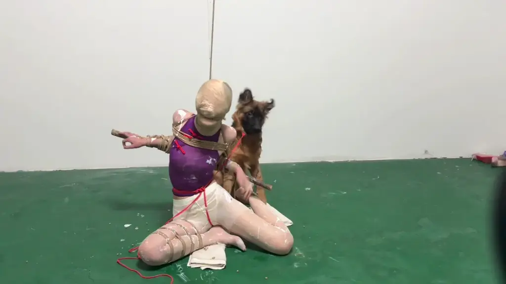 图片[2]-【媚娘工作室】狗丈夫的小蛋糕-视频-5元站