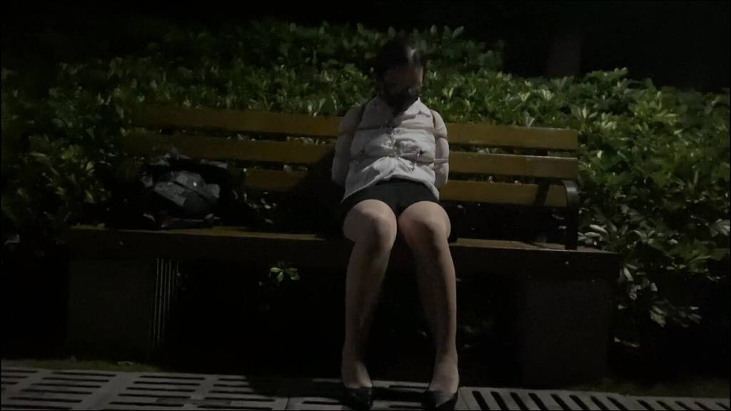 【我家妞妞第二十四章】午夜街头公园嗨皮 紧张到心跳加速 刺激到意犹未尽-视频-5元站
